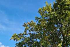 IMG-20250928-WA0023