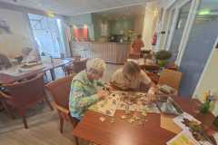 WhatsApp-Image-2026-03-04-at-15.21.42-1